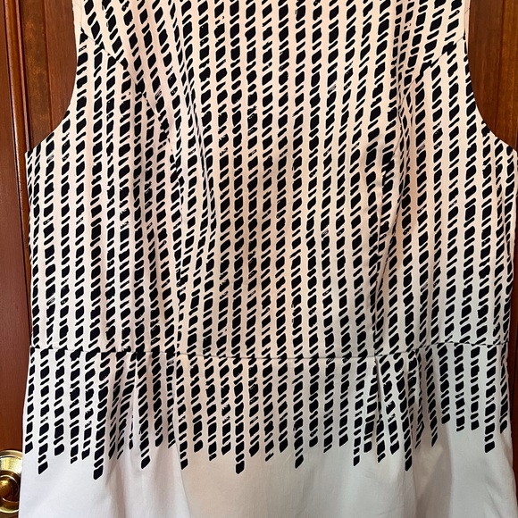 Isaac Mizrahi NWOT- sleeveless white and black shift dress - Picture 3 of 6